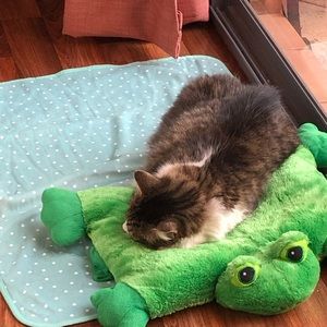 Meet your Posher, Lyn